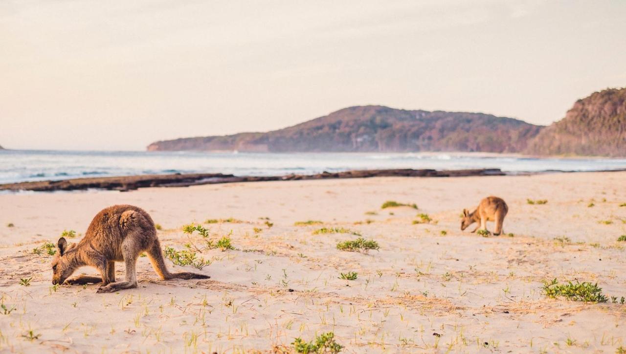 Pebbly Beach Escape East Lynne Eksteriør billede